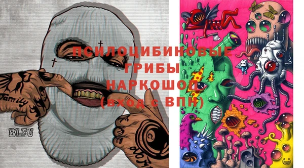 крисы Сатка